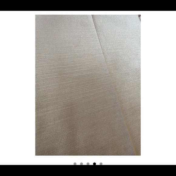 Cache Silky Gold Pants - Picture 4 of 7